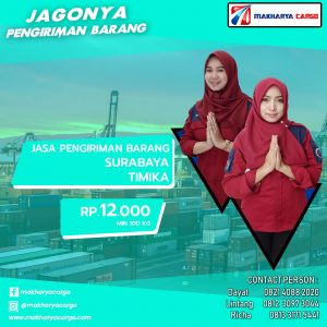 Jasa Pengiriman Barang Surabaya Timika