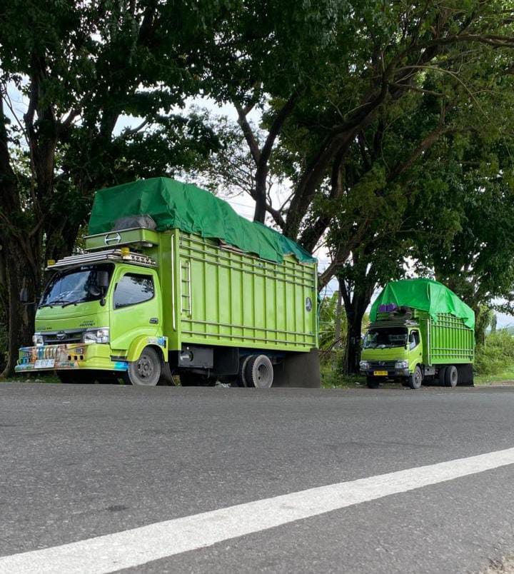 ekspedisi surabaya makassar via darat menggunakan truk