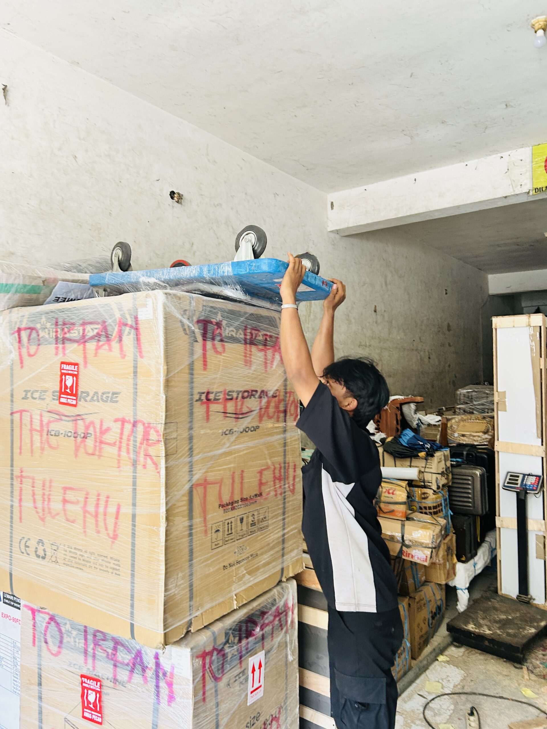 ekspedisi surabaya palu free pick up terbaik