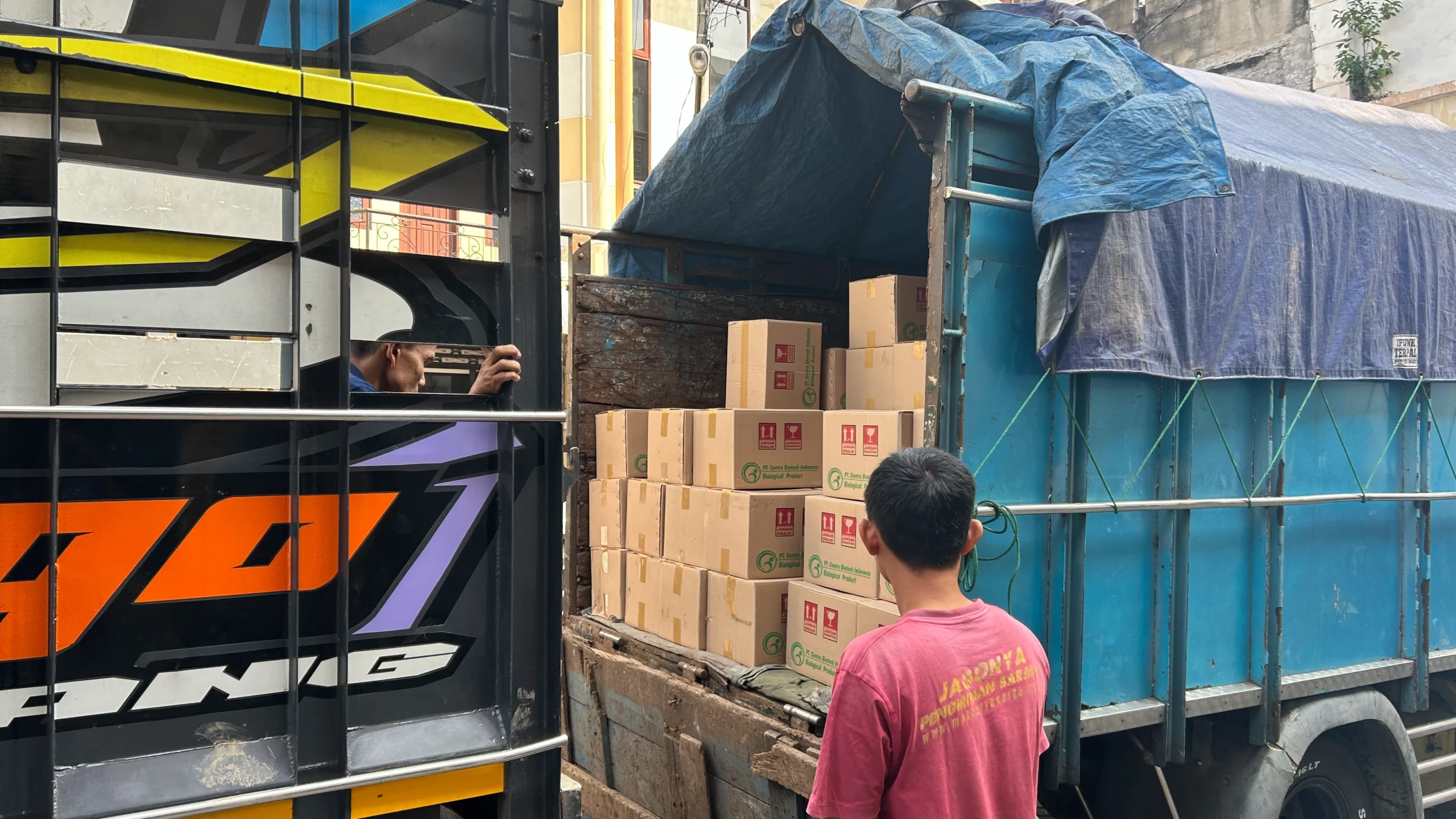 cargo proyek papua untuk distribusi material dan mesin industri