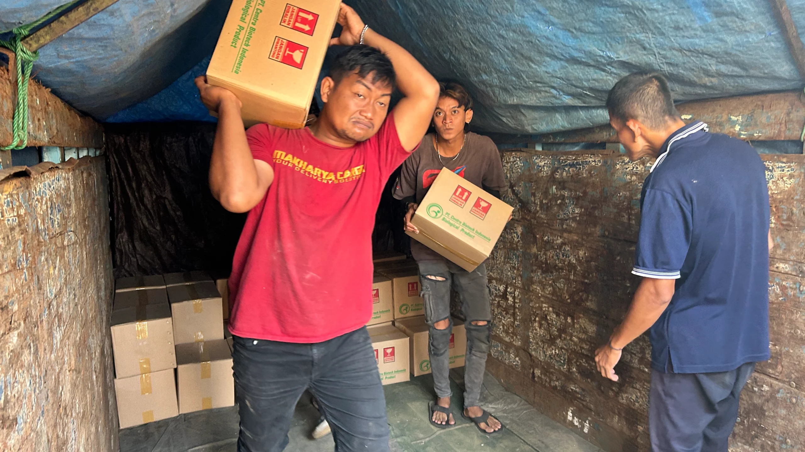pengiriman alat berat timika dengan container project cargo